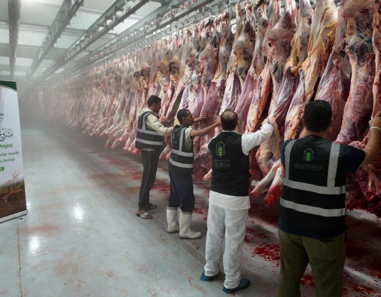 Qurbani 1447 Reaches Families Across Multiple Countries